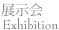展示会 exhibition